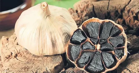 تصویر 1 از سیر سیاه اصل ژاپن با قدرت درمانی بالا و استاندارد جهانی